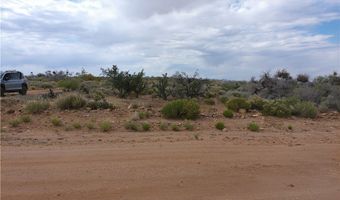 Lot 41 W 5th Street, Chloride, AZ 86431