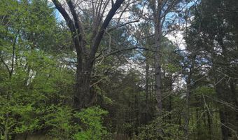 Cloverleaf Way lot 5, Antlers, OK 74523