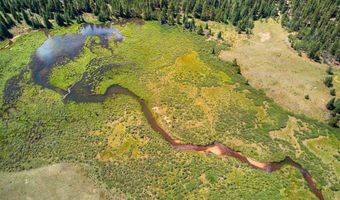 412 Kootchie Kootchie Rd Lot 0, Alma, CO 80420
