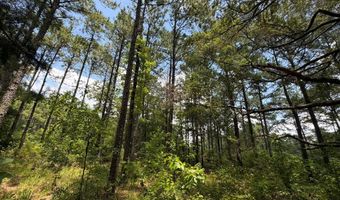 Mountain View Way, Bainbridge, GA 39819