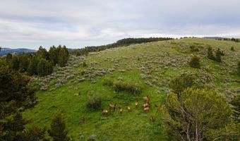 Trail Creek Road Lot 3, Bozeman, MT 59715