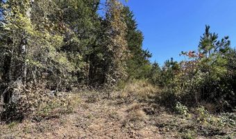 1011 Granny Hollar Rd, Atkins, AR 72823