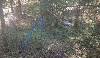 Edgewater Way lot 84, Adin, CA 96006