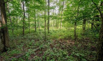 County Road 2, Addison, NY 14801