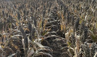00000 CR 140, Alexander, KS 67513