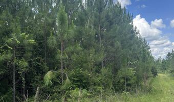0 Highway 31, Bay Minette, AL 36507
