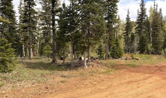 646 W Ski View Dr, Brian Head, UT 84719