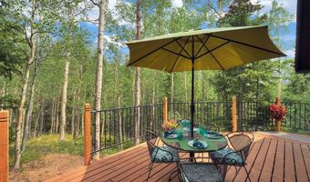 227 Roberts Rd, Alma, CO 80420