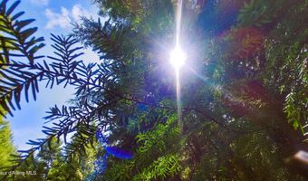 NKA Wandering Wolf Ridge Lot 3, Clark Fork, ID 83811