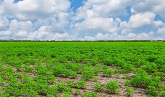 WBD N Hwy 281, Alice, TX 78332