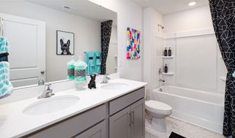 13109 Bristlehead Way, Charlotte, NC 28215