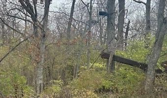 3 Salem Ridge Rd, Aurora, IN 47001
