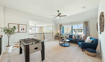 804 Twin Pine Ct, Anna, TX 75409