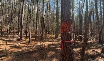 12 68 Acre 99 Rd, Blair, SC 29015