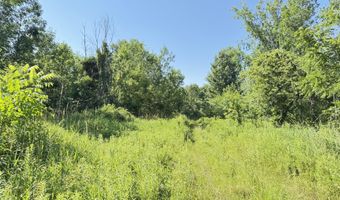 13513 100th St SE, Alto, MI 49302