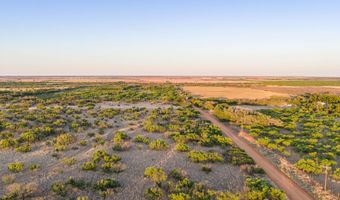 County Road 239, Afton, TX 79220
