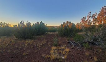 1 COUNTY ROAD N8155, Concho, AZ 85924