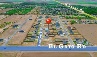 1315 Carlos Dr, Alamo, TX 78516