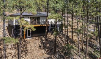 410 Timber Dr, Bayfield, CO 81122