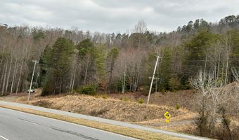 Hwy 19 West Tract1, Bryson City, NC 28713