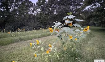 1421 Oak Level Rd, Bassett, VA 24055