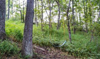 97 Alexander Rd, Alexander, NC 28701