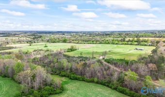 435 Sneadview Rd, Altoona, AL 35952