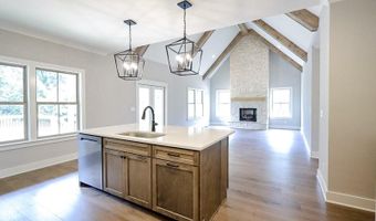 14603 Baker Rd, Birchwood, TN 37308