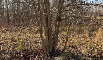 BLACK SWAMP ROAD, Felton, DE 19943