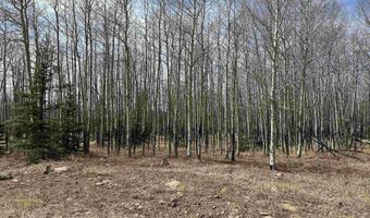 El Camino Real, Angel Fire, NM 87710