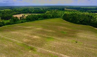 0 N County Rd. 75, Ashford, AL 36312