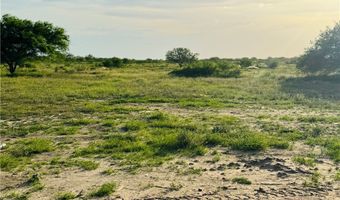 145 County Road 150, Alice, TX 78332