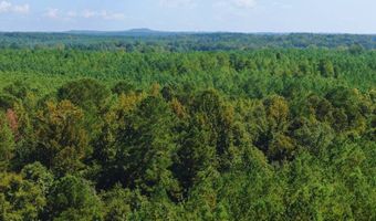 0 CR 320, Big Creek, MS 38914