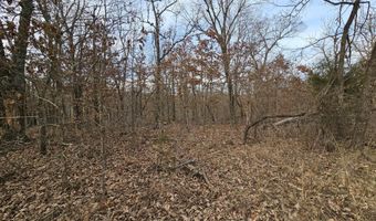65 Acres Plainview Rd, Anderson, MO 64831