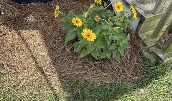 2687 Linda Ln, Alford, FL 32420