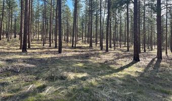 31760 HWY 10 W, Alberton, MT 59820