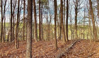 8648 Groundhog Rd, Adger, AL 35006