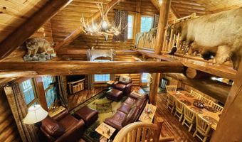 6402 Rustic Pine Trl, Alanson, MI 49706