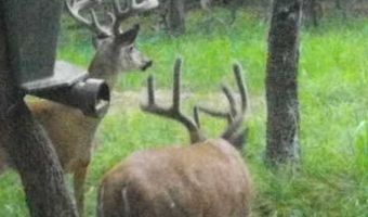 160 Jones Creek Rd, McAlester, OK 74501