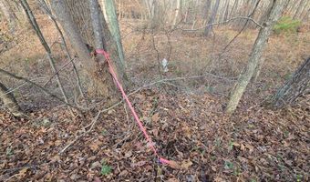 00001 Hwy 369, Ball Ground, GA 30107