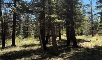 Spanish Peaks Dr, Aguilar, CO 81020
