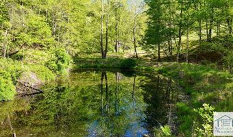 1619 Squirrel Creek Rd, Ararat, VA 24053