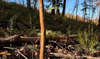 Hwy 9, Bruce, MS 38915