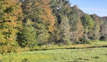 Lower Dingle Hill Road, Andes, NY 13731