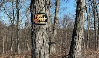 S1205 County Road Y, Wonewoc, WI 53968