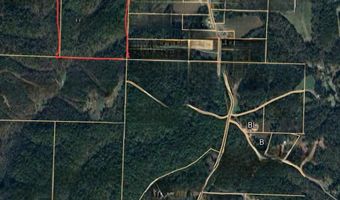 65 Acres Plainview Rd, Anderson, MO 64831