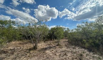 FM 1554 lot 0, Alice, TX 78332