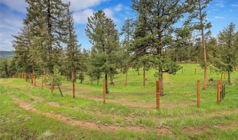 64 Elk Horn Ct, Bailey, CO 80421