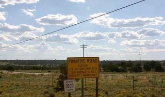 Lot 55 Concho Lakeland, Concho, AZ 85924