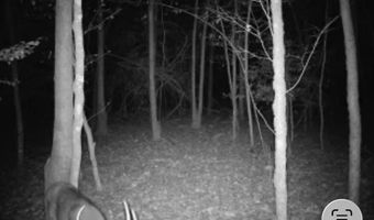 JINKS ROAD, Bernice, LA 71222